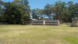 Killara Public School Grounds and Surrounding