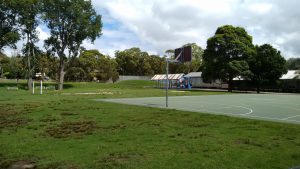 More Balgowlah North Public School Open Green Spaces